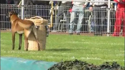 охрана вещи