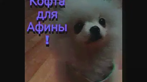 Афинкина кофта!