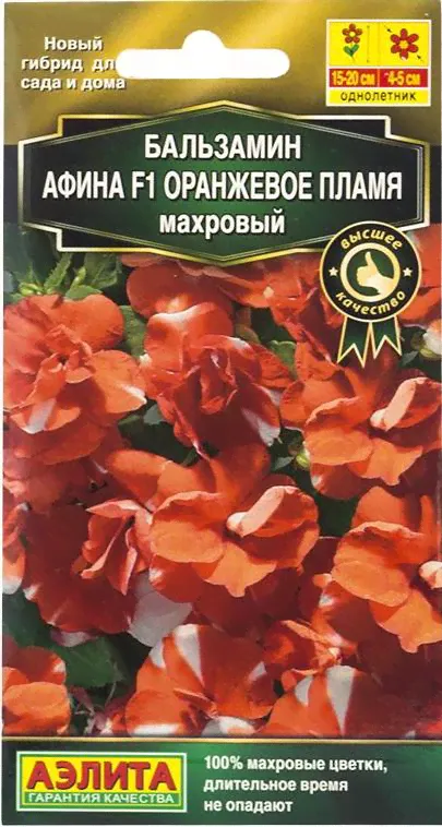 Бальзамин Афина Оранжевое пламя (5шт) Аэлита/10-0