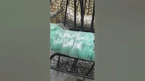 Подвесное кресло Rad-mebel
