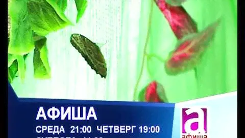 Промо Афиша 20 02 13