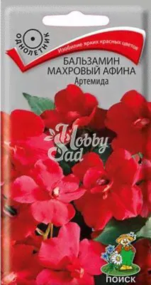 Цветы Бальзамин Махровый Афина Артемида (5 шт) Поиск-0
