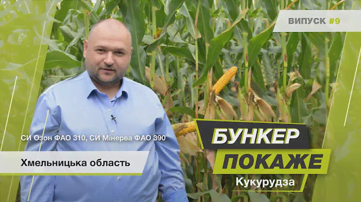 #БункерПокаже випуск № 9. ТОВ «Агрокрай». Фаза чорної точки СИ Озон ФАО 310, СИ Мінерва ФАО 390