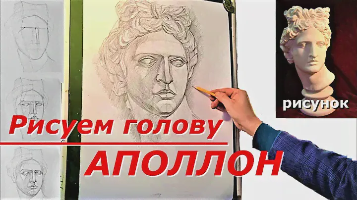Рисуем голову.  Аполлон.  Рисунок