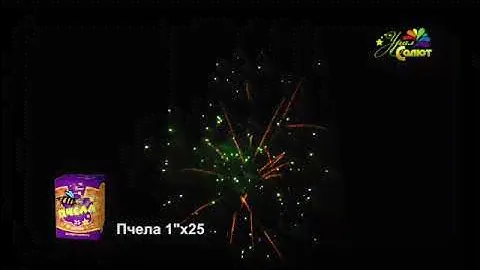 Салют "Пчела" 25 зарядов. Урал Салют