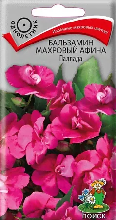 Семена бальзамина Афина Паллада-0