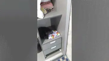прихошка шкаф+998-33-665-74-05