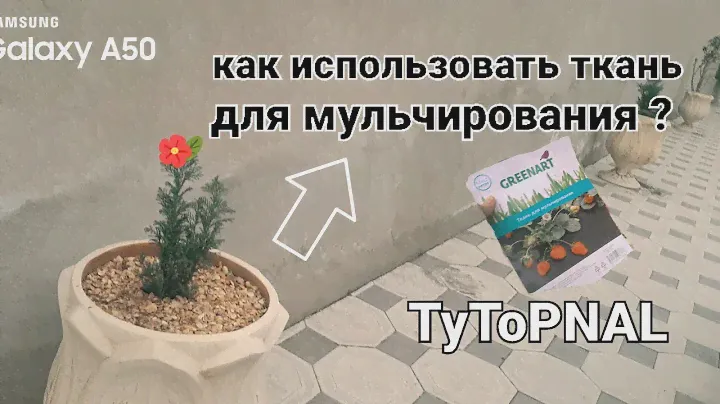 🖤Как использовать ткань для мульчирования 🖤| 🗯КАШПО |🪴 САД И ОГОРОД🌳 | АФИНА СУПЕР ЗВЕЗДА 🌟